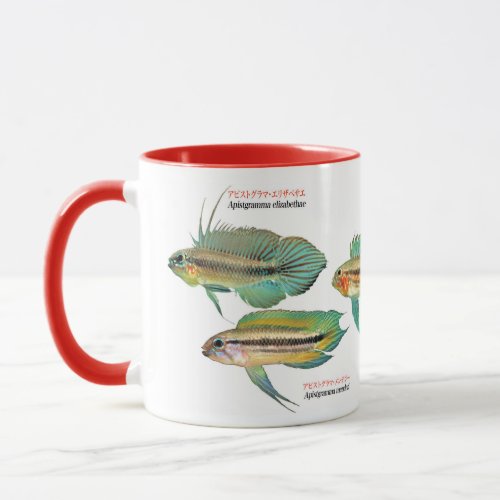 Apistgramma Mug