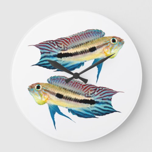 Apistogramma mendeziの優良製品 Large Clock