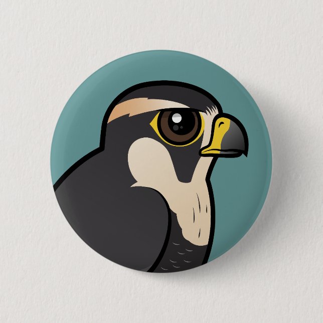 Aplomado Falcon Button (Front)