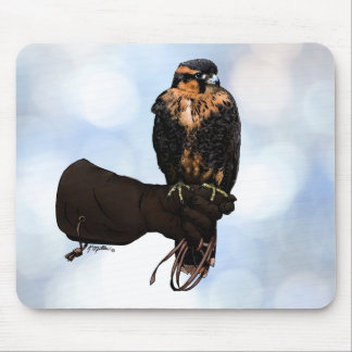 Aplomado Falcon on Glove Mouse Pad