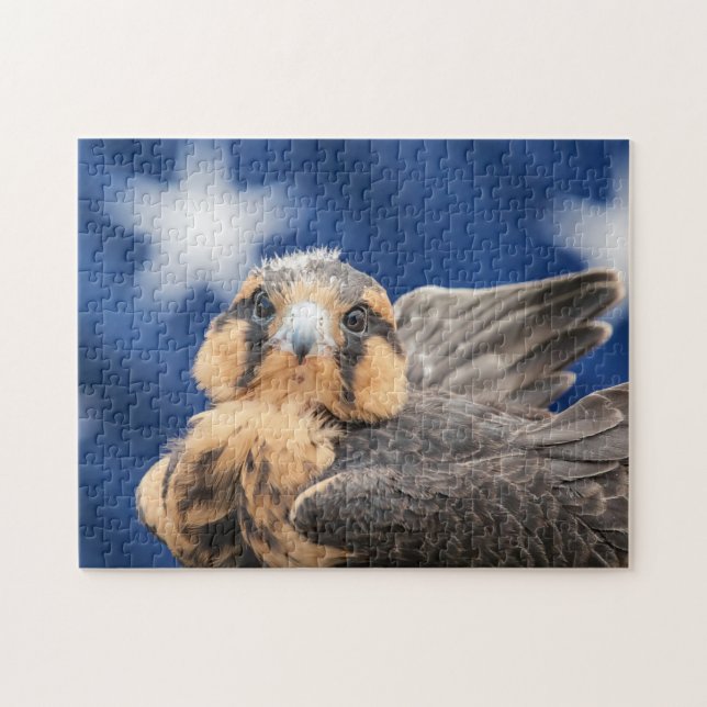 Aplomado Falcon with Flag Jigsaw Puzzle (Horizontal)