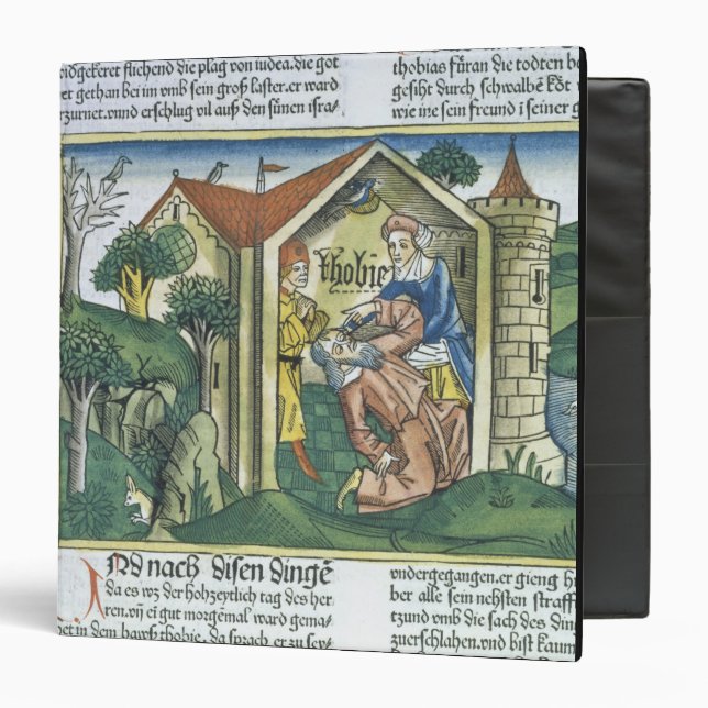 Apocrypha: Tobit is blinded by sparrow's droppings Binder (Front/Inside)