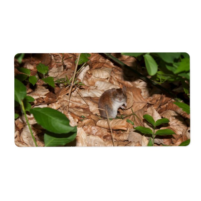 Apodemus sylvaticus label (Front)