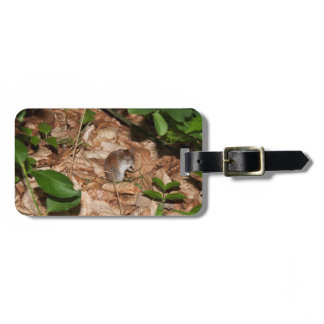 Apodemus sylvaticus luggage tag