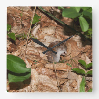 Apodemus sylvaticus square wall clock