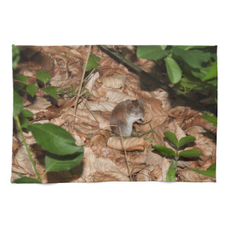 Apodemus sylvaticus towel