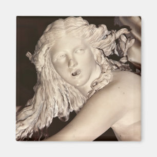 Apollo and Daphne, detail of Daphne's head Magnet