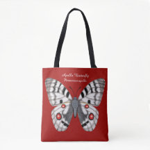 Apollo Butterfly Dorsal and Ventral