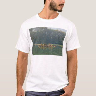 Apollo in his Chariot, from the Bassin T-Shirt