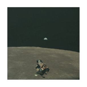 Apollo Lunar Lander and Earthrise Over Moon Wood Wall Art