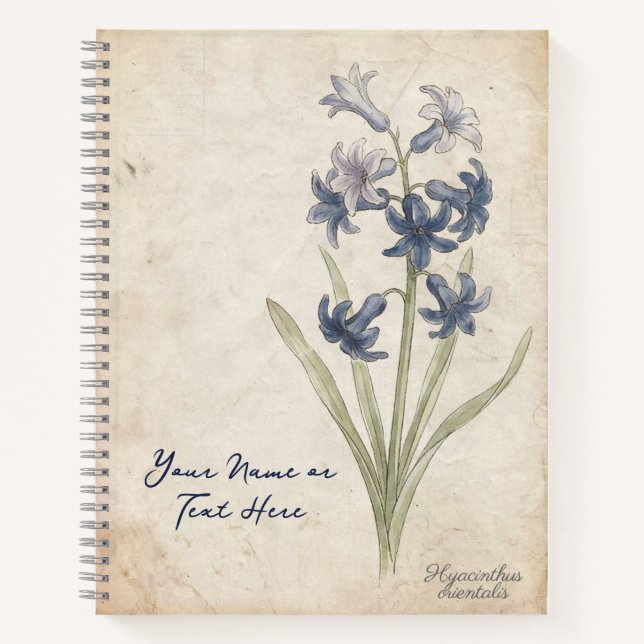 Apollo’s Tears: Hyacinthus Orientalis Botanical Notebook (Front)