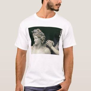 Apollo Tended by the Nymphs, detail showing the he T-Shirt