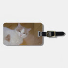 Apollo the Turkish Van Luggage Tag