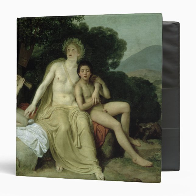 Apollo with Hyacinthus and Cyparissus 3 Ring Binder (Front/Inside)
