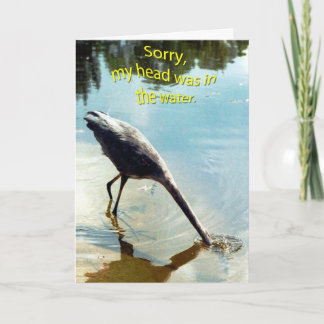 APOLOGY CARD