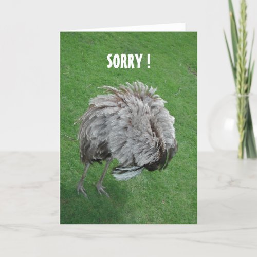 Apology Card