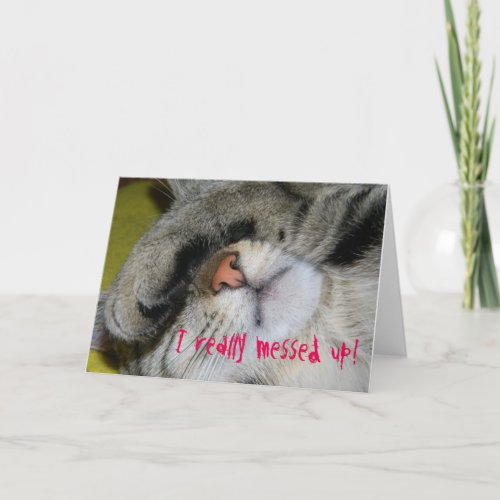 Apology Card _ I Really Messed Up Embarrassed Cat