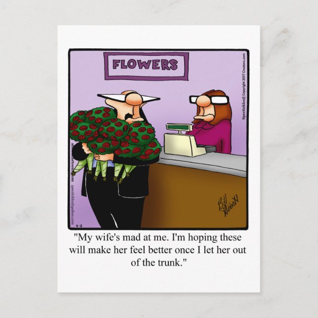 Apology Marriage Humor Postcard (Front)
