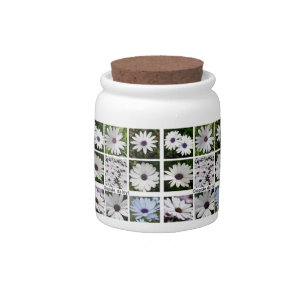 Apology Oopsie Daisy White African Daisy Collage Candy Jar