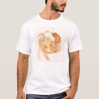 Apophysis-100511-213  Rustyglo T-Shirt