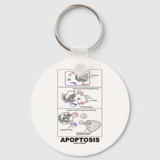 Apoptosis (Biology Cell Death) Keychain
