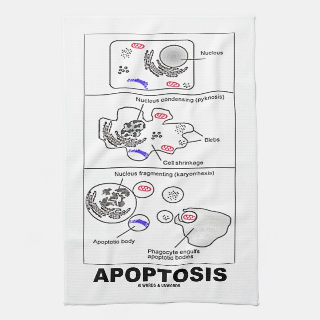 Apoptosis Biology Programmed Cell Death Towel (Vertical)