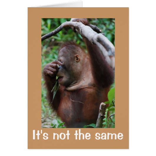 Apostrophe Atrocity Cards (Front)