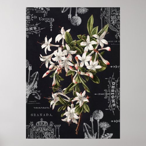 APOTHECARY AZALEAS DECOUPAGE PAPER OR PRINT