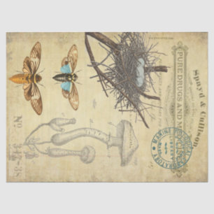 Apothecary Decoupage Tissue Paper