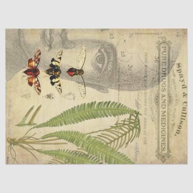 Apothecary Decoupage Tissue Tissue Paper (Front)