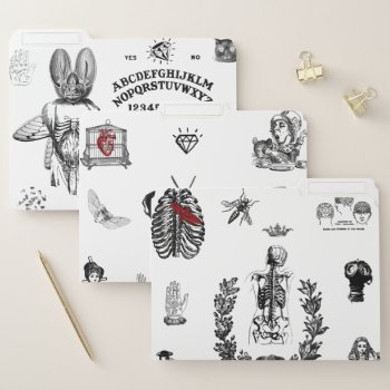 Apothecary File Folder by EndlessVintage at Zazzle
