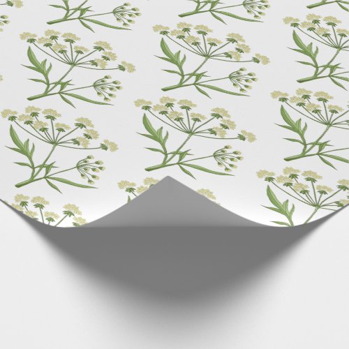 Apothecary Herb Wrapping Paper