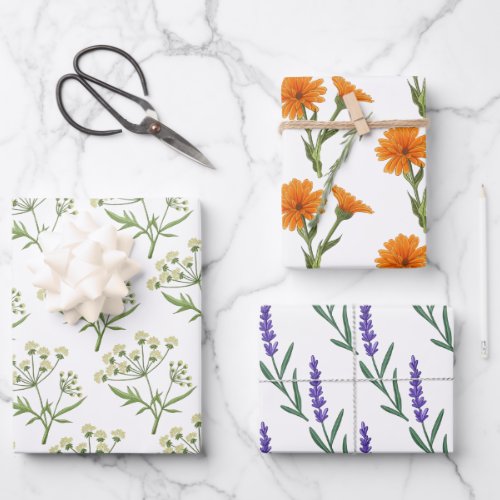 Apothecary Herb Wrapping Paper Flat Sheet Set of 3