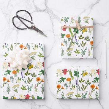 Apothecary Herb Wrapping Paper Sheets