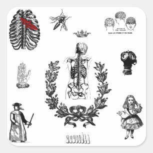 Apothecary Square Sticker