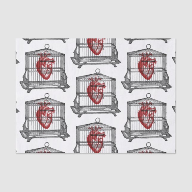 Apothecary Tissue Paper (Front)