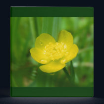 Appalachian Buttercup Binder