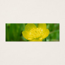 Appalachian Buttercup Bookmarks