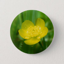 Appalachian Buttercup Button