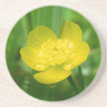 Appalachian Buttercup Coaster