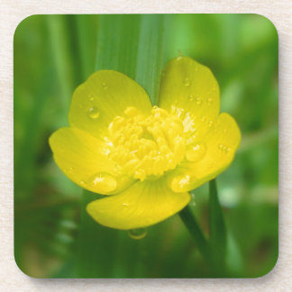 Appalachian Buttercup Cork Coaster
