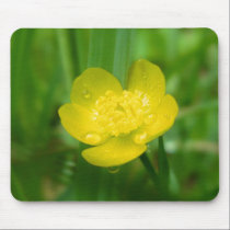 Appalachian Buttercup Mousepad