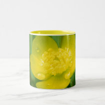 Appalachian Buttercup Mug