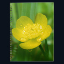 Appalachian Buttercup Notebook