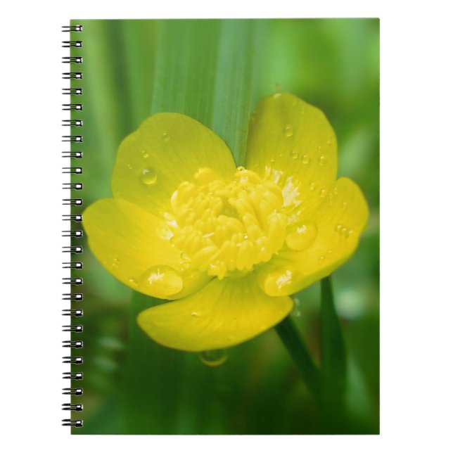 Appalachian Buttercup Notebook (Front)
