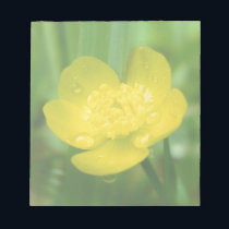 Appalachian Buttercup Notepad