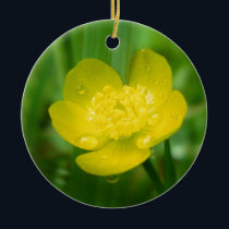 Appalachian Buttercup Ornament