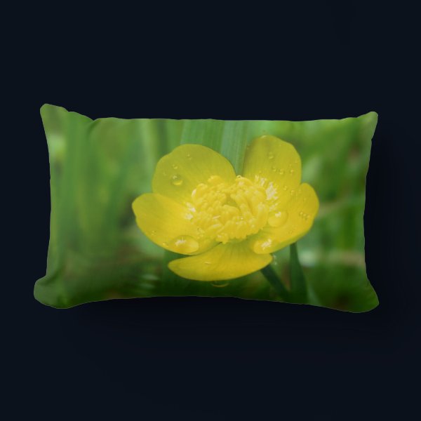 Appalachian Buttercup Pillow