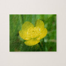 Appalachian Buttercup Puzzle