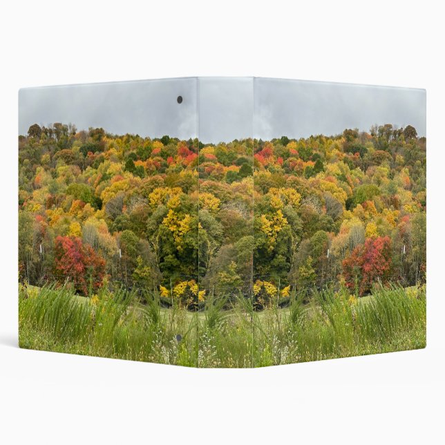 Appalachian Fall Trees Colors Photo Binder (Background)